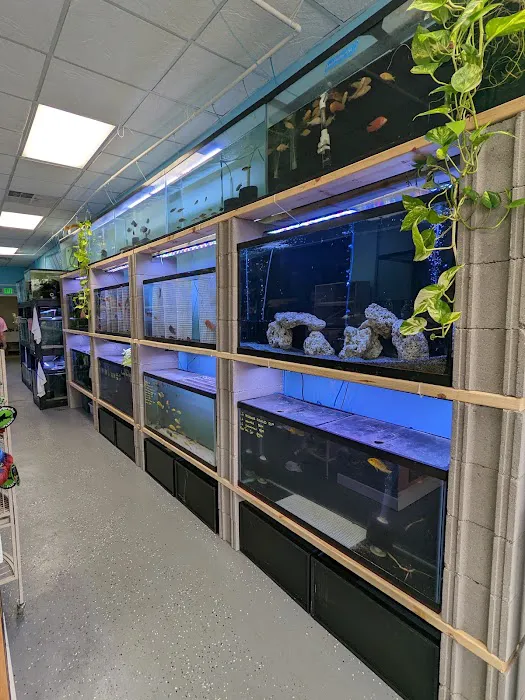 Chris's Pet Store Picture 9