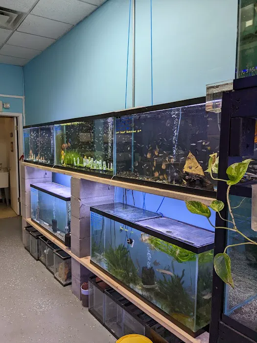 Chris's Pet Store Picture 8