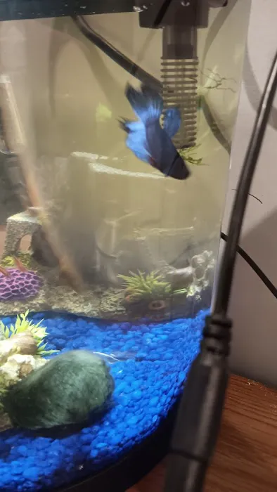 Chris's Pet Store Picture 7