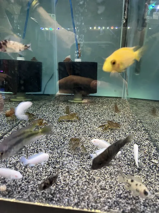 Chris's Pet Store Picture 10