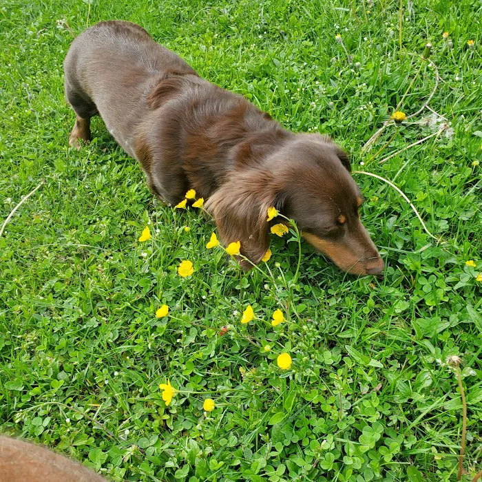 Countryside Animal Hospital Picture 7