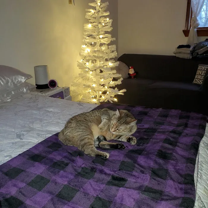 Countryside Animal Hospital Picture 5