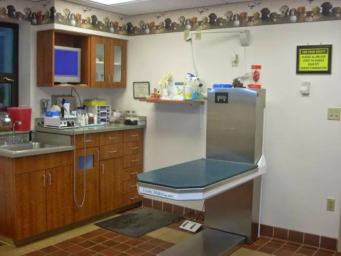 VCA Dunmore Animal Hospital Picture 5