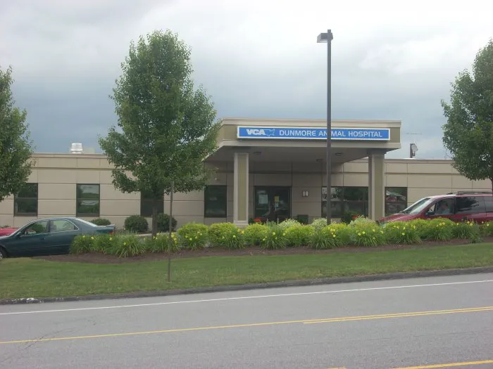 VCA Dunmore Animal Hospital Picture 3
