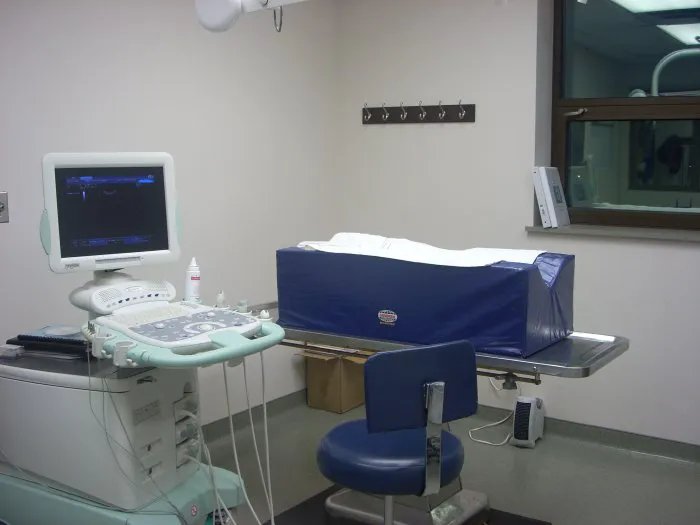 VCA Dunmore Animal Hospital Picture 7