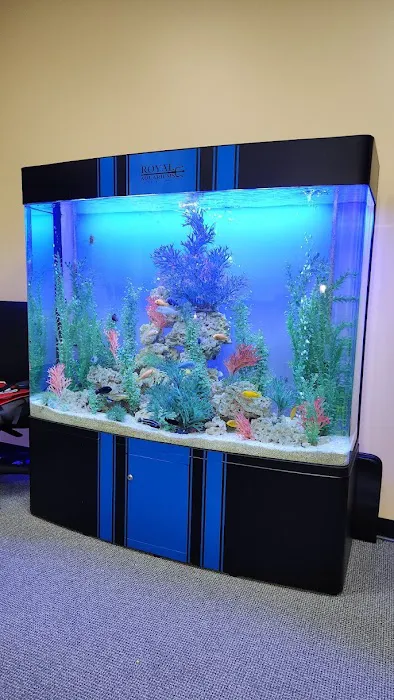 Royal Aquariums Detroit Picture 7