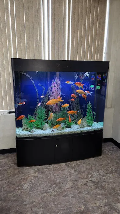 Royal Aquariums Detroit Picture 8