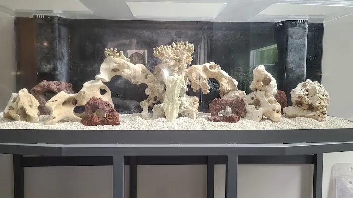 Royal Aquariums Detroit Picture 2