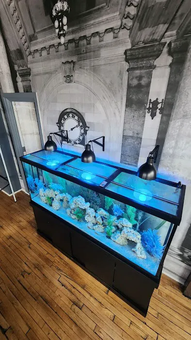 Royal Aquariums Detroit Picture 4
