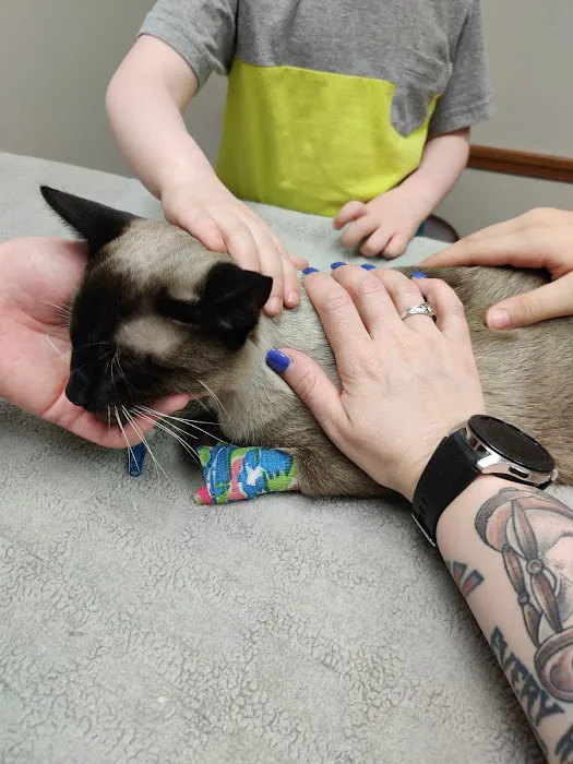 Memorial Veterinary Hospital - Throop Picture 5