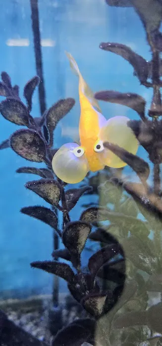 Tropical Treasures Picture 8