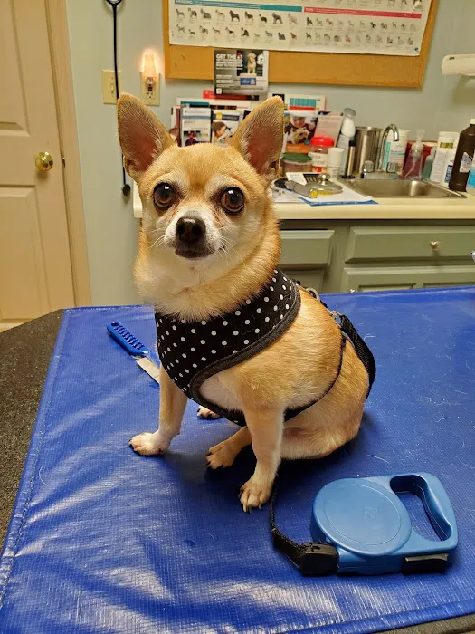 Wallenpaupack Veterinary Clinic Picture 10
