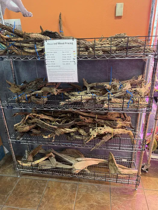 House of Pets Inc Picture 6