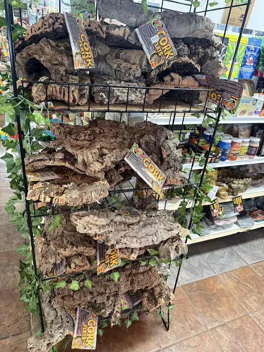 House of Pets Inc Picture 9