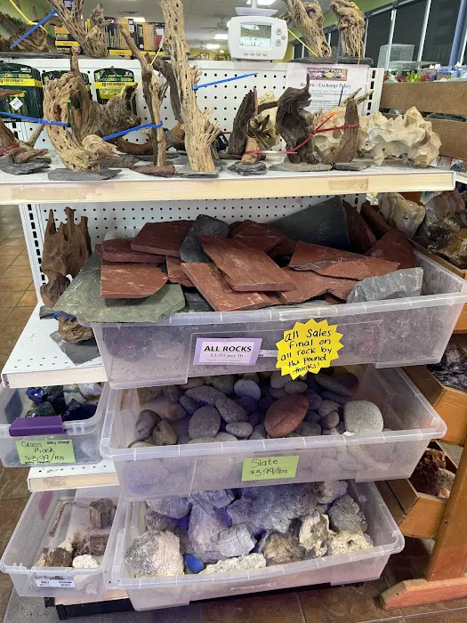 House of Pets Inc Picture 4