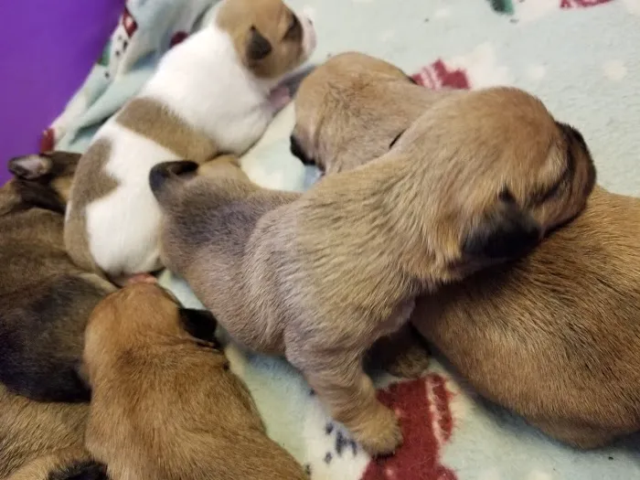 Mid-Valley Veterinarian Hospital Picture 5