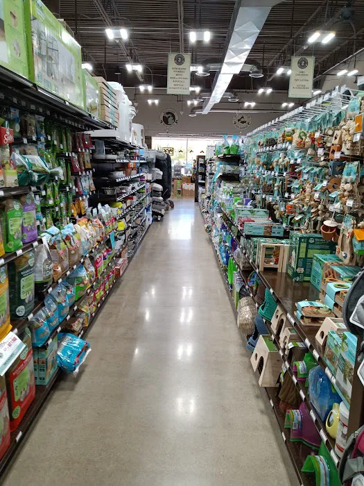 Premier Pet Supply Picture 8