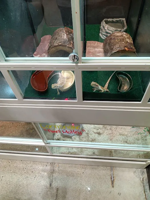 Premier Pet Supply Picture 6