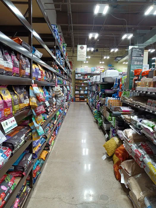 Premier Pet Supply Picture 7