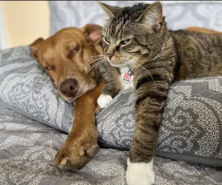 Cherry Ridge Veterinary Clinic