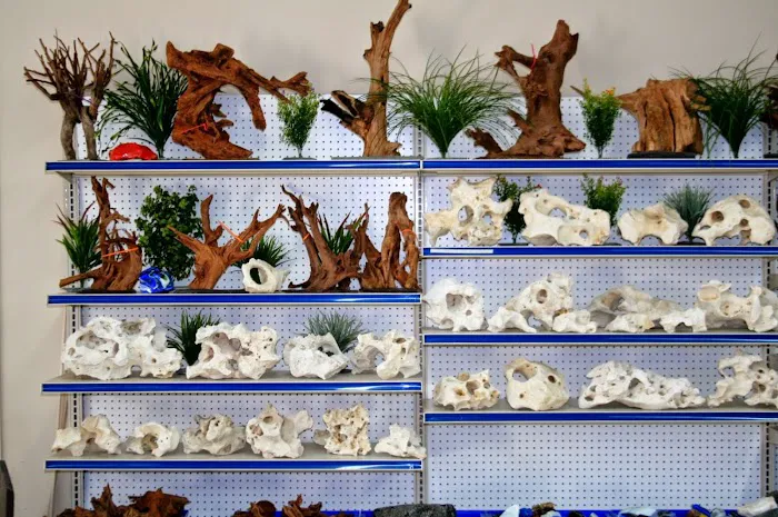 Aquatic Treasures/Bruces Pond Shop Picture 1