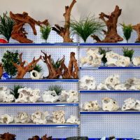 Aquatic Treasures/Bruces Pond Shop ico