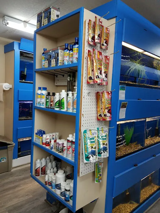Aquatic Treasures/Bruces Pond Shop Picture 3