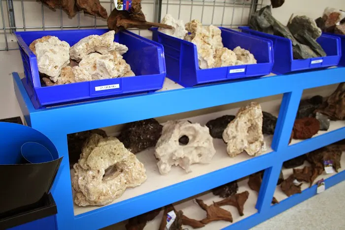 Aquatic Treasures/Bruces Pond Shop Picture 8