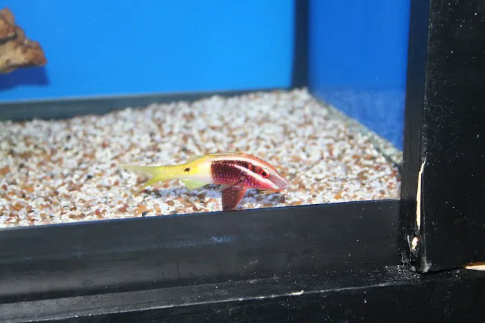 Aquatic Treasures/Bruces Pond Shop Picture 9