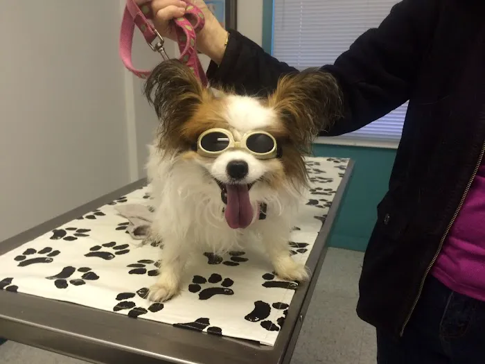 Veterinary Medical Center Picture 5