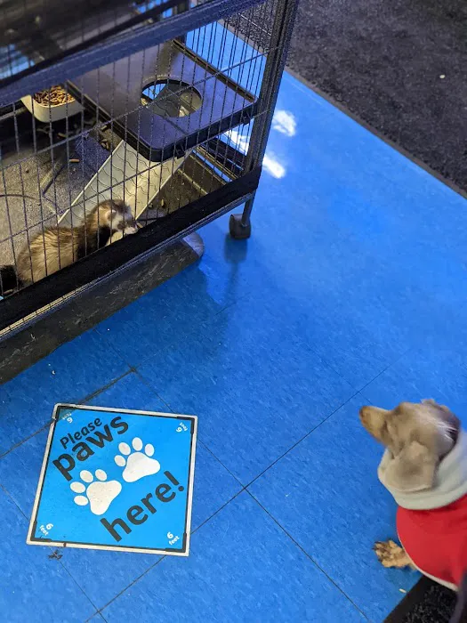 Pet Supplies Plus Woodhaven Picture 7
