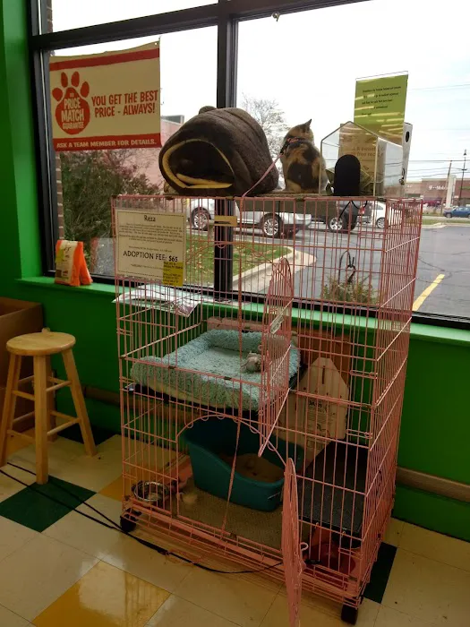 Pet Supplies Plus Woodhaven Picture 5