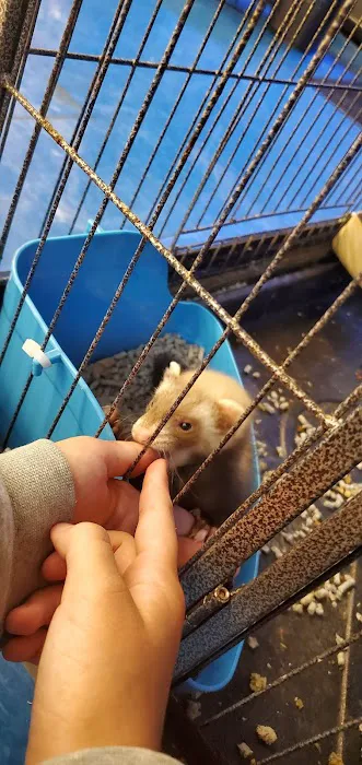 Pet Supplies Plus Woodhaven Picture 6