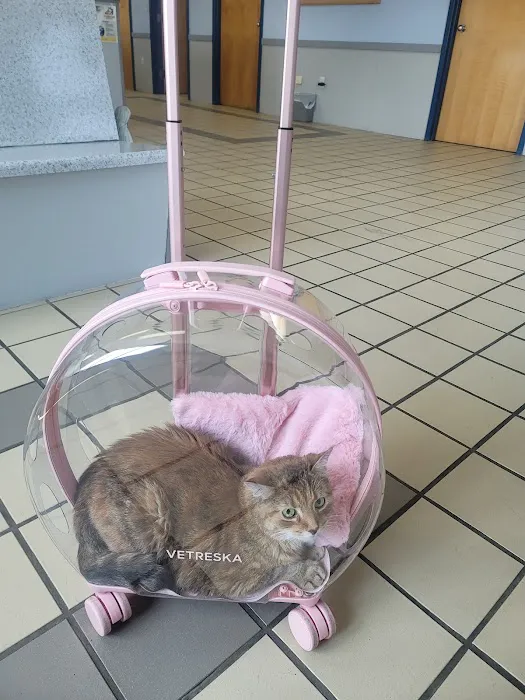 Citywide Animal Clinic Picture 2