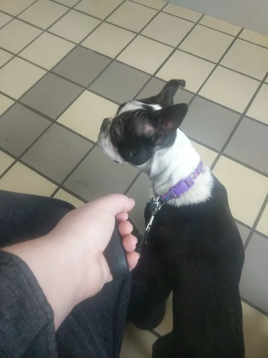 Citywide Animal Clinic Picture 8