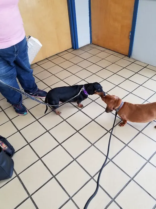 Citywide Animal Clinic Picture 3