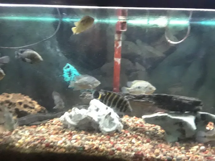 Something Fishy Picture 4