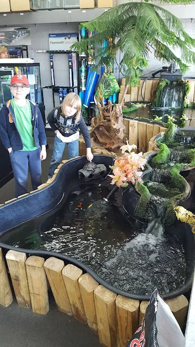 Something Fishy Picture 2