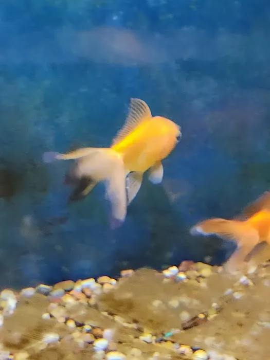 Something Fishy Picture 8