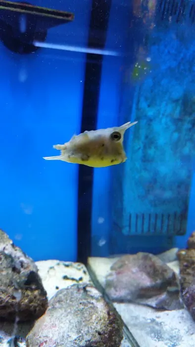 Something Fishy Picture 10