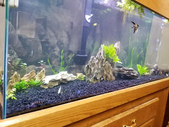 Something Fishy Picture 9