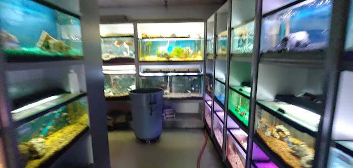 Something Fishy Picture 6
