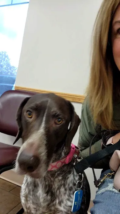 Memorial Veterinary Hospital - Dickson City Picture 6