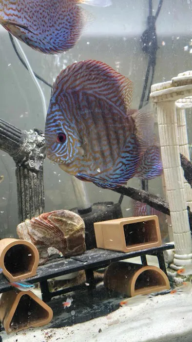 Something Fishy Picture 1