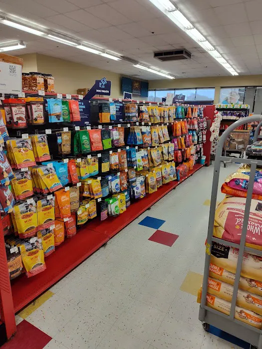 Petco Picture 3