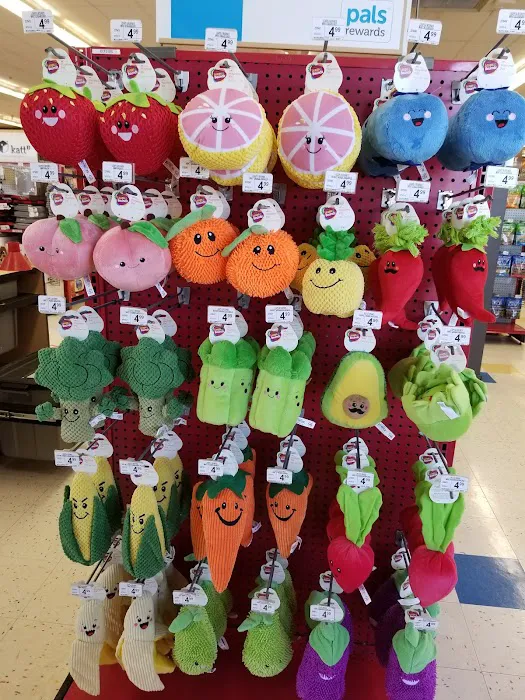 Petco Picture 4