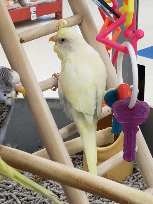 Petco Picture 2