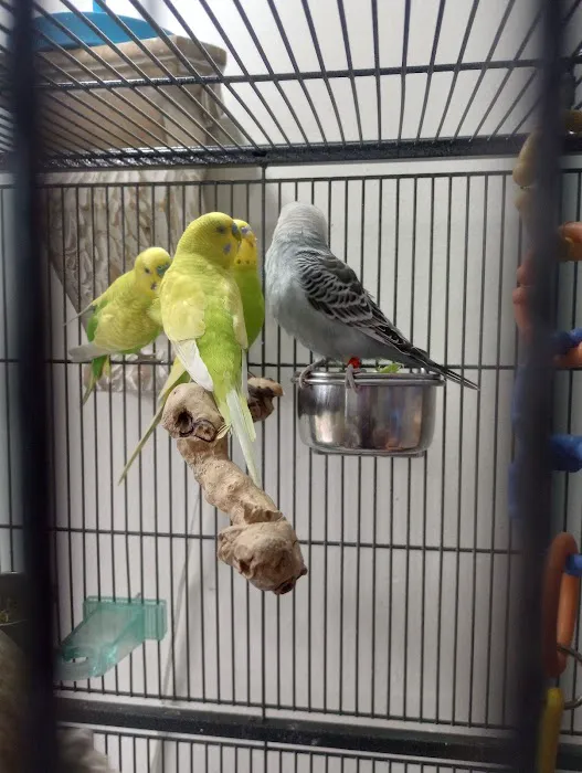 Petco Picture 6