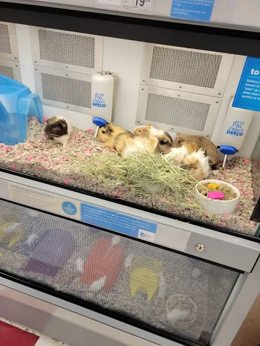 Petco Picture 10