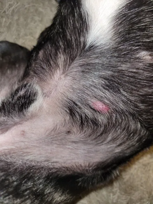 Friends for Life Veterinary Care Picture 2